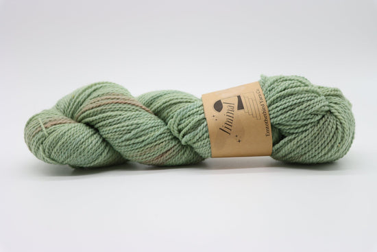 Liminal - Sage Yarn Emtothethird Yarn Co.