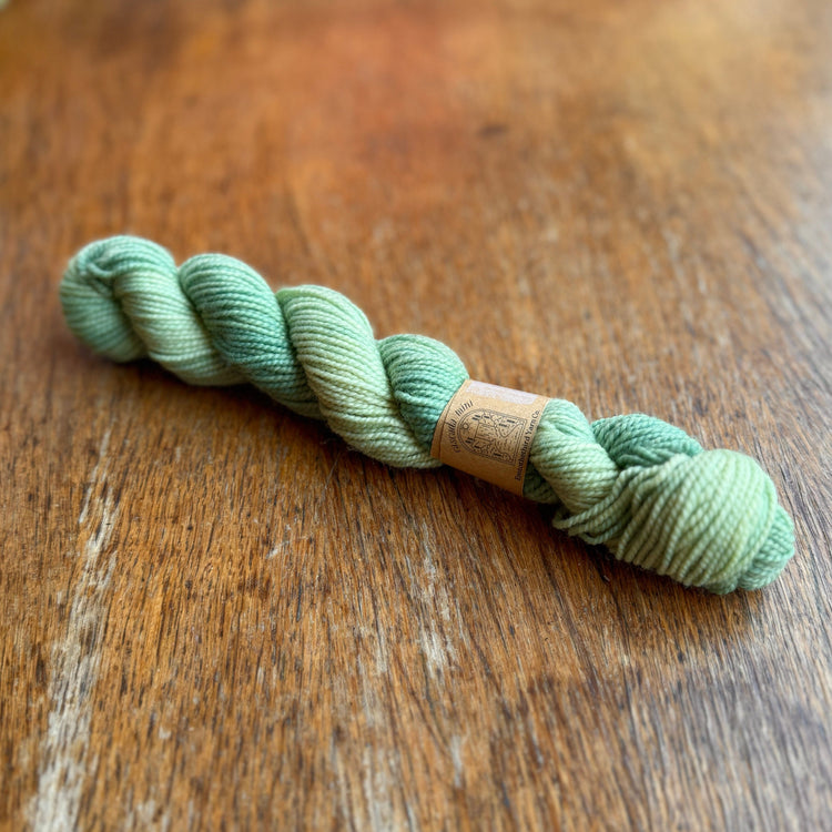 Cascada Mini - B2 Yarn Emtothethird Yarn Co.