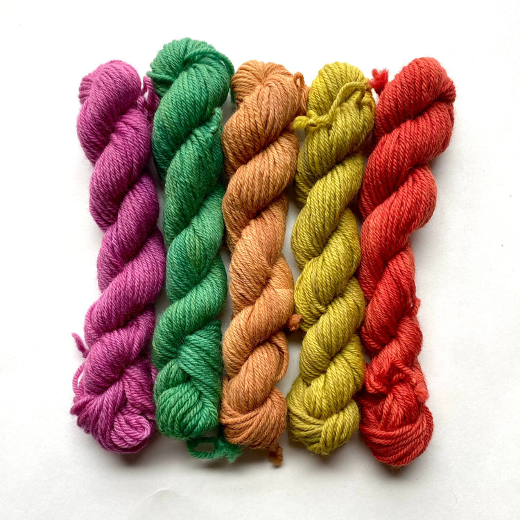 Back 2 Earth - DK Mini Set Yarn Emtothethird Yarn Co.