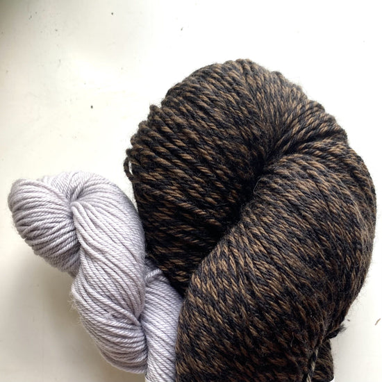 Sock Set - Beneath The Walnut Tree Mezcla, Yarn Emtothethird Yarn Co.