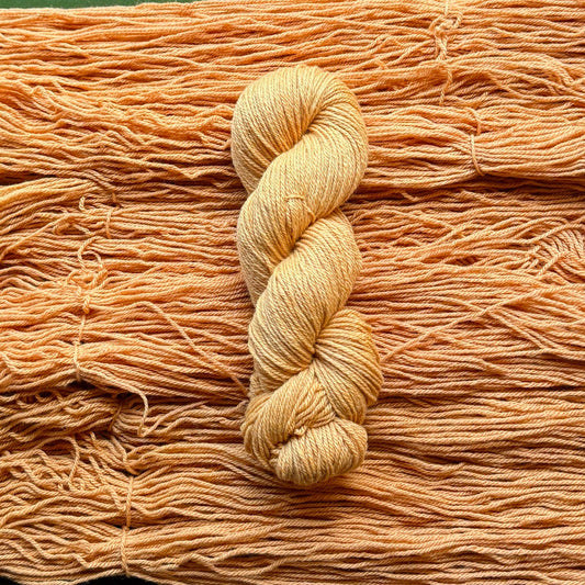 Sagrada - Harvest Yarn Emtothethird Yarn Co. 