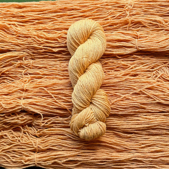 Sagrada - Harvest Yarn Emtothethird Yarn Co. 