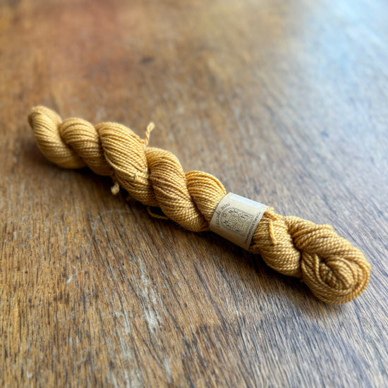 Cascada Mini - Harvest Yarn Emtothethird Yarn Co. 